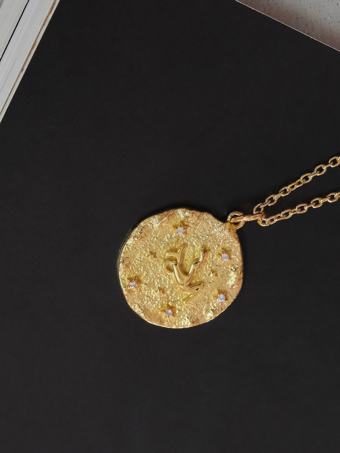 Anushka Jain Jewellery 925 Sterling Silver Gold-Plated CZ Studded Capricorn Pendant Chain