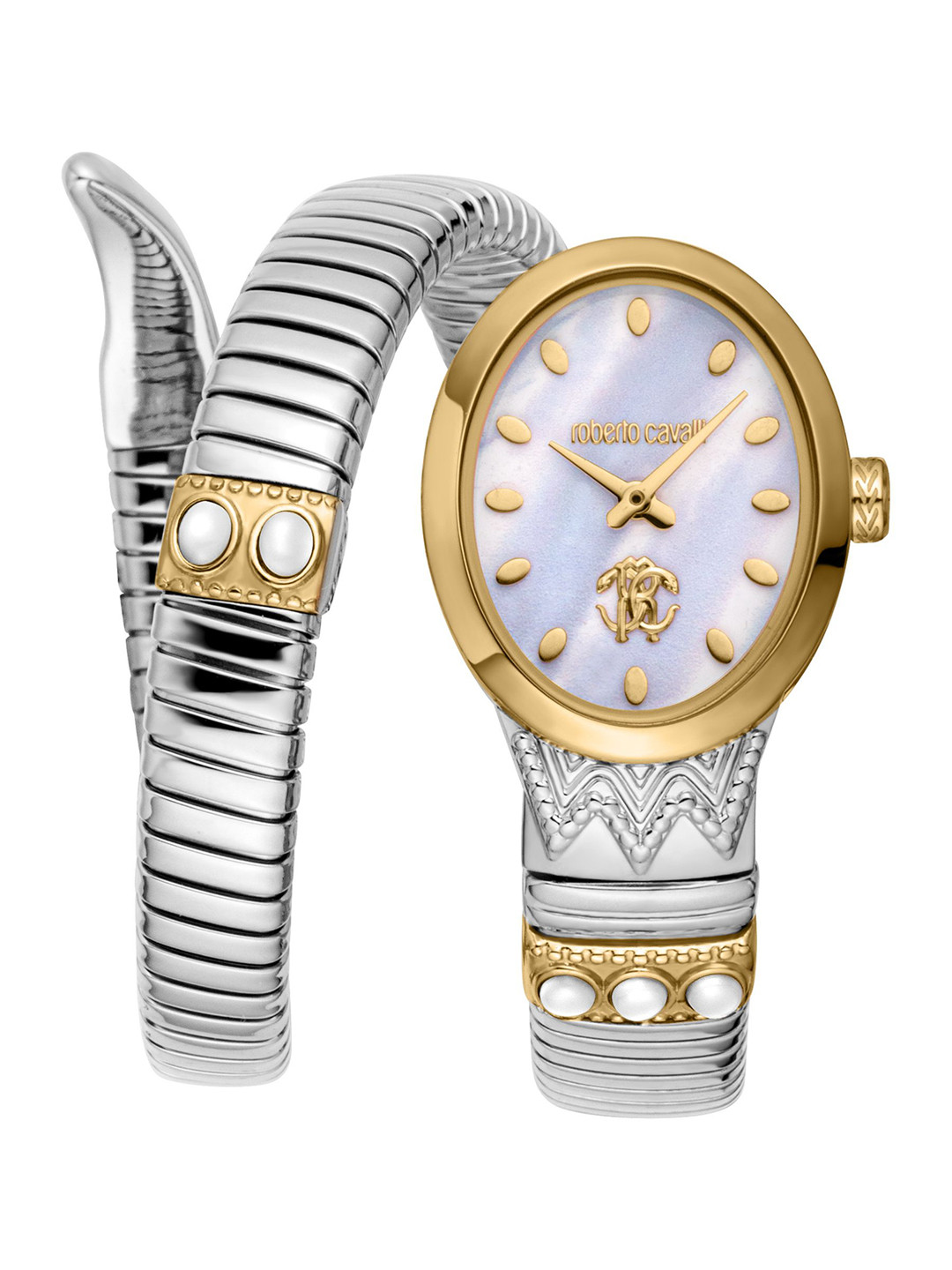 Roberto Cavalli Women Patterned Dial & Stainless Steel Bracelet Style Straps Analogue Watch RC5L104M0055