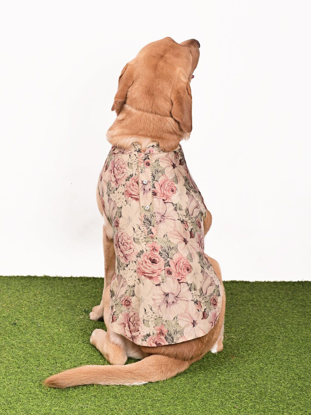 VASTRAMAY Graphic Printed Ethnic Jacket Dog Dress