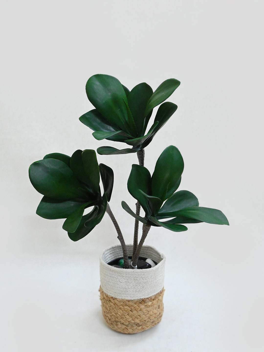 Blooming Floret Green Anthurium Artificial Plant With Pot