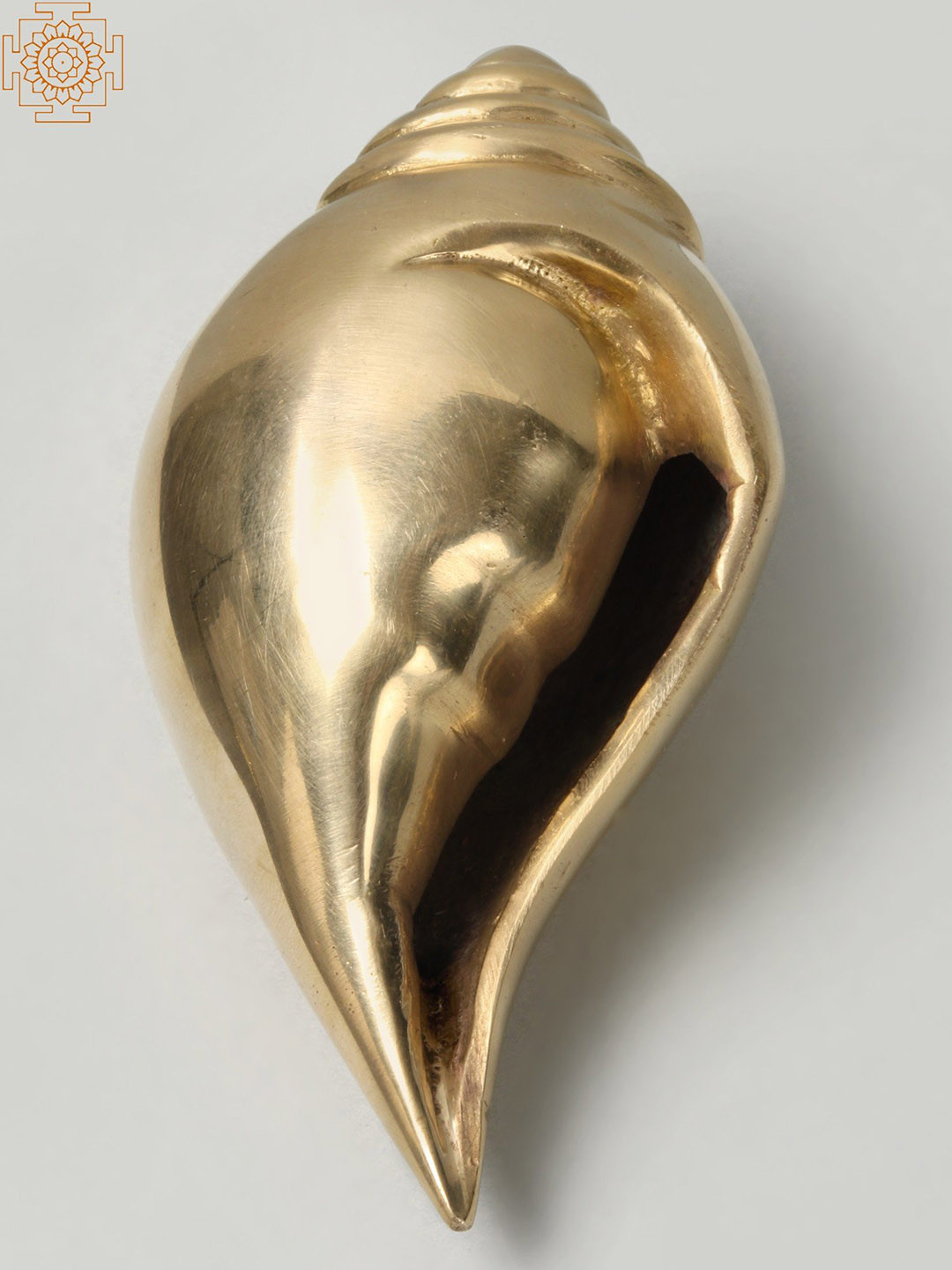 Exotic India Conch Gold Brass Metallic Prayer Room Small Showpiece - 2 Inches