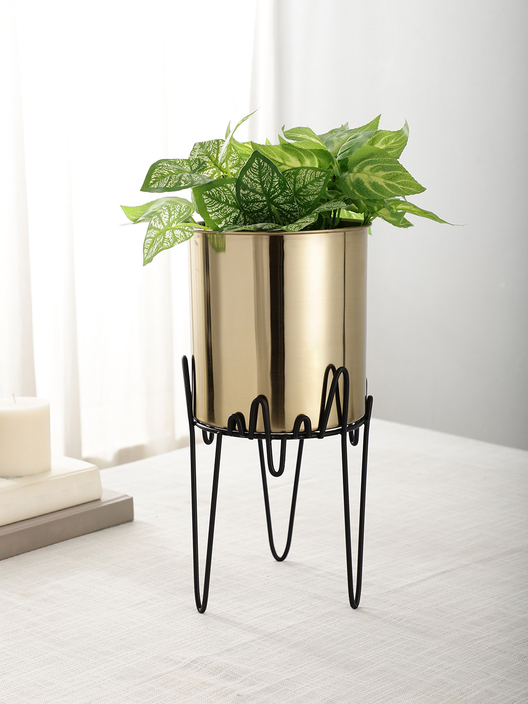 Maison Modern Serpentine Gold-Toned Stainless Steel Planter With Stand