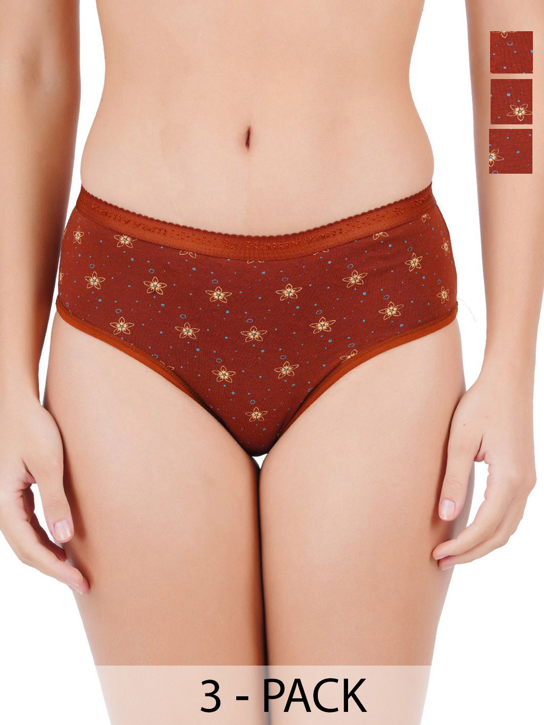 Ramraj  Pack Of 3 Printed Cotton Bikini Briefs R1OnlyUPrintPanti6