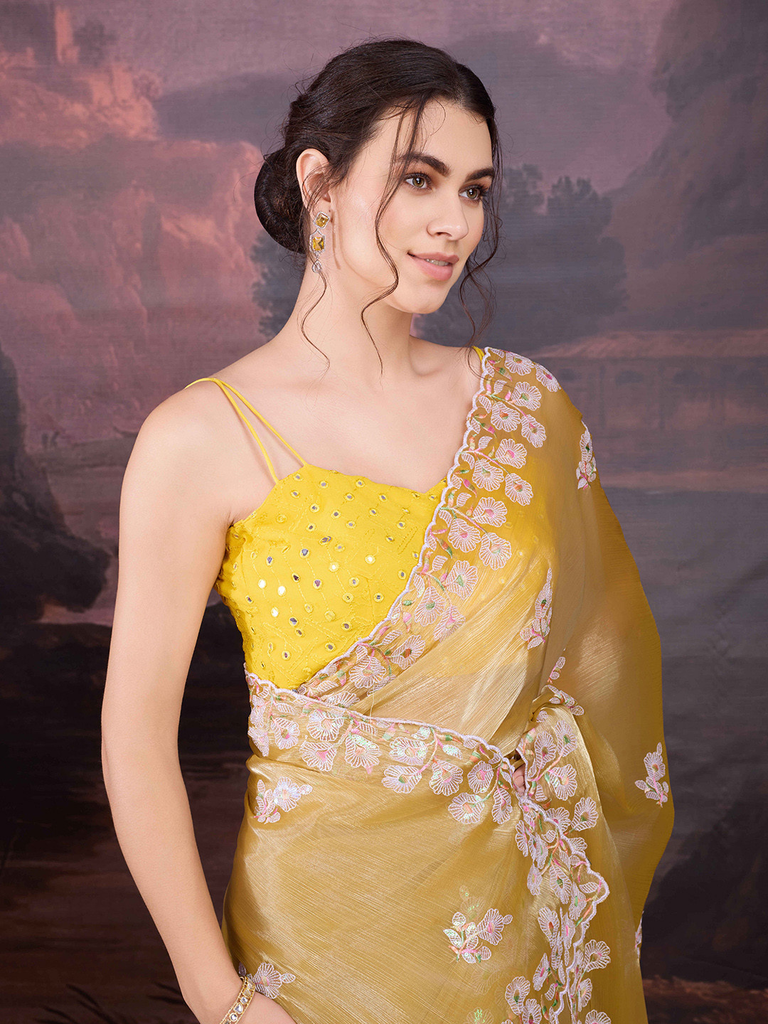 House of Pataudi Women multi sequence Embroidered Saree