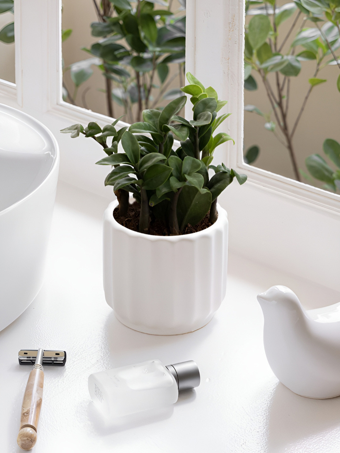 Claymistry White Ceramic Wave Whisperer: The Fluted Design Flower Pot Planter for Home