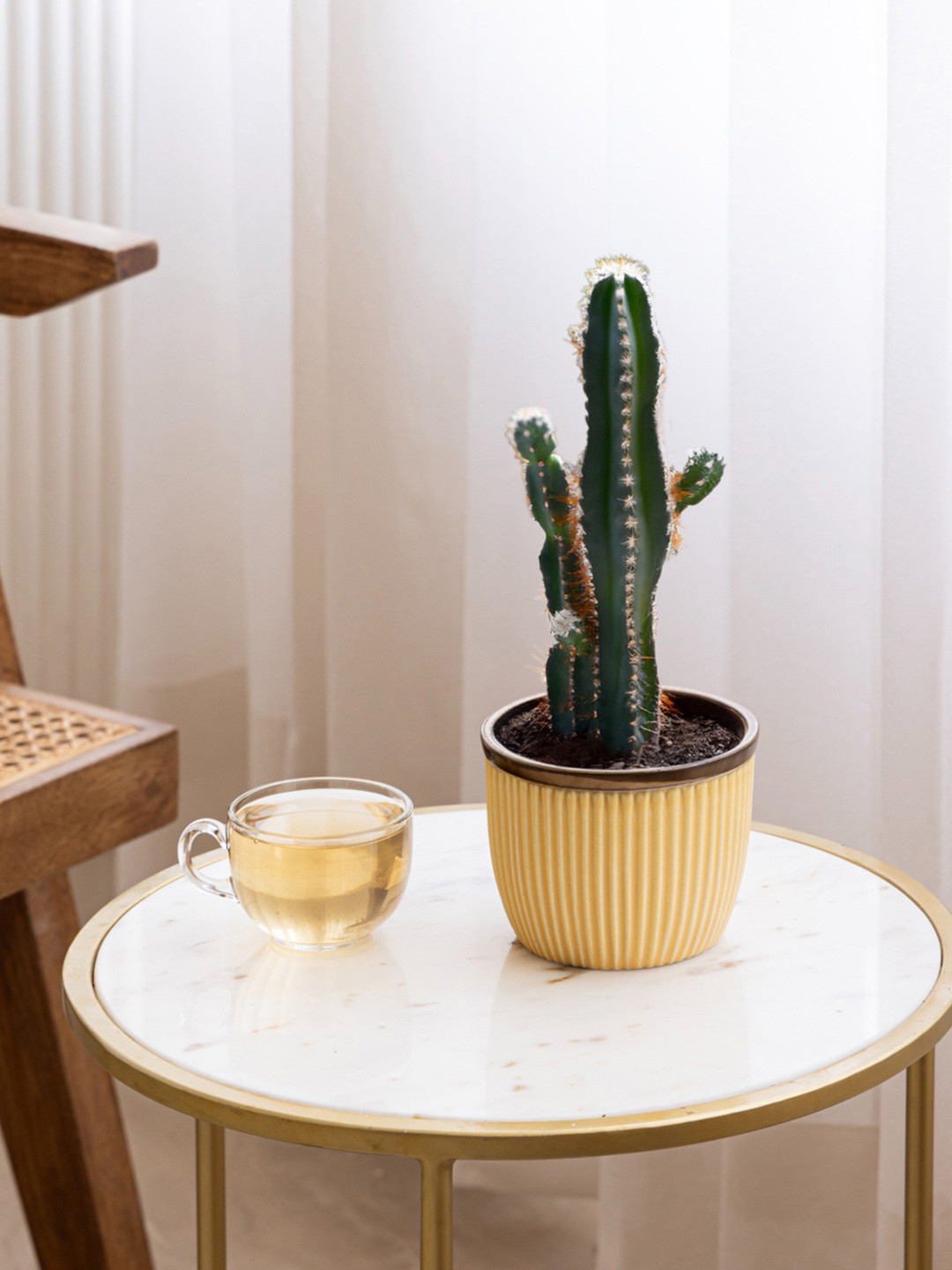 Claymistry Yellow and Brown 2 Pieces Textured Ceramic Flower Planter