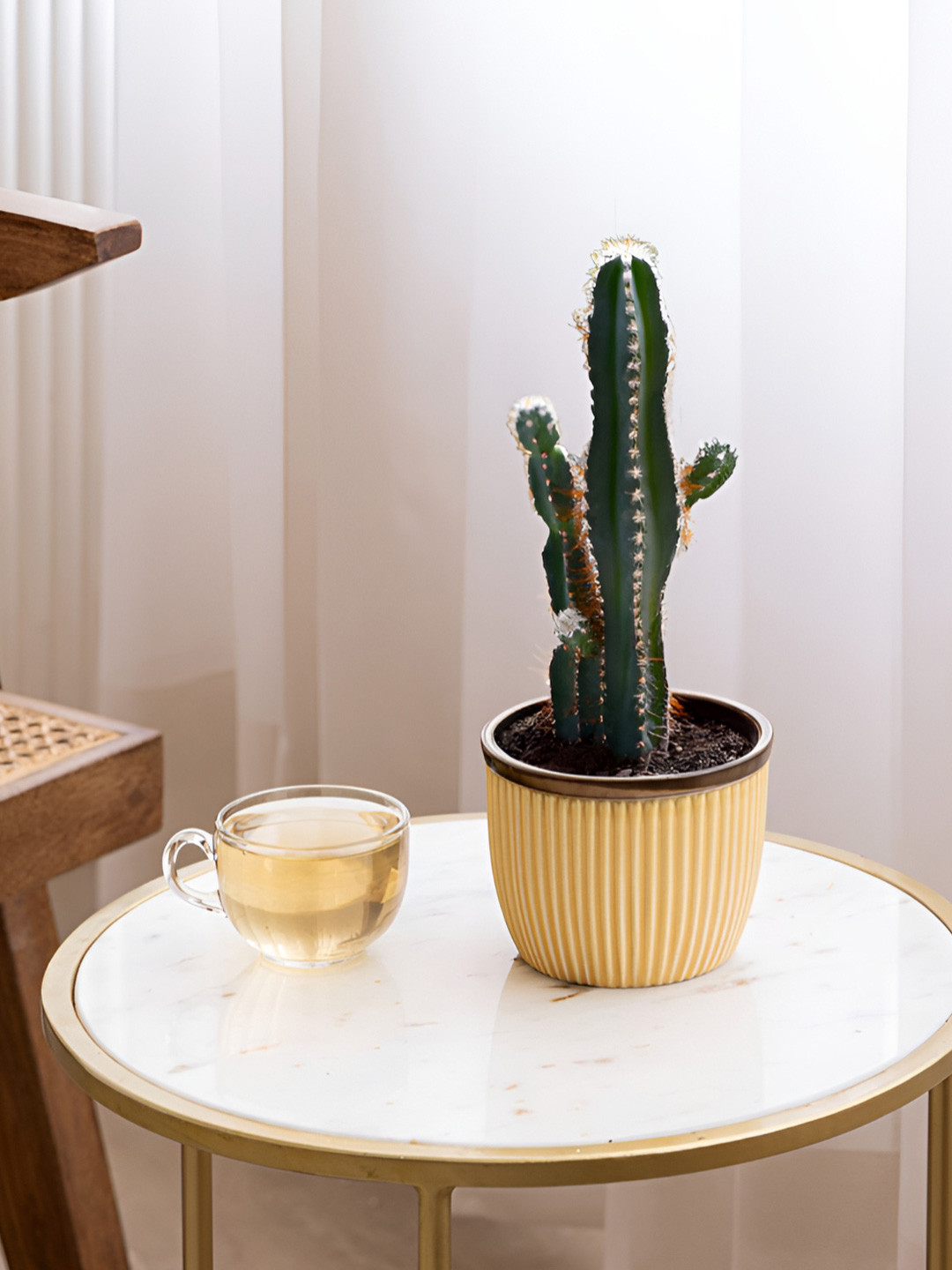 Claymistry Yellow & Beige Textured Ceramic Cylinder Planters