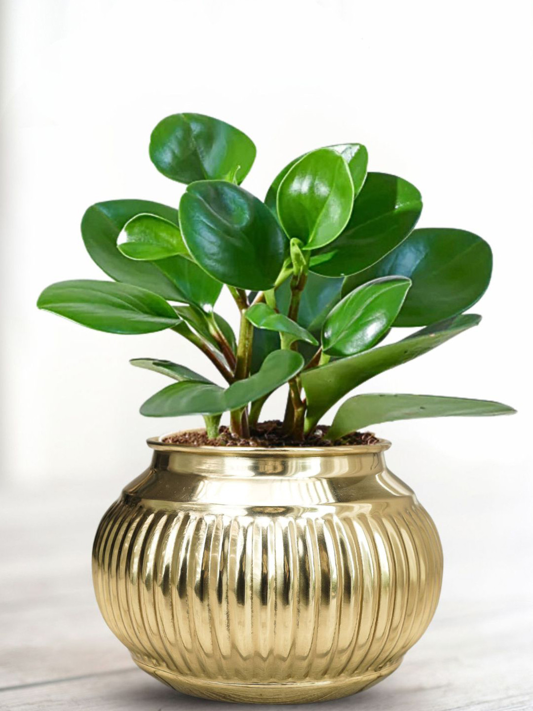 BEHOMA Gold Toned Hammered Matki Style Metal Planter