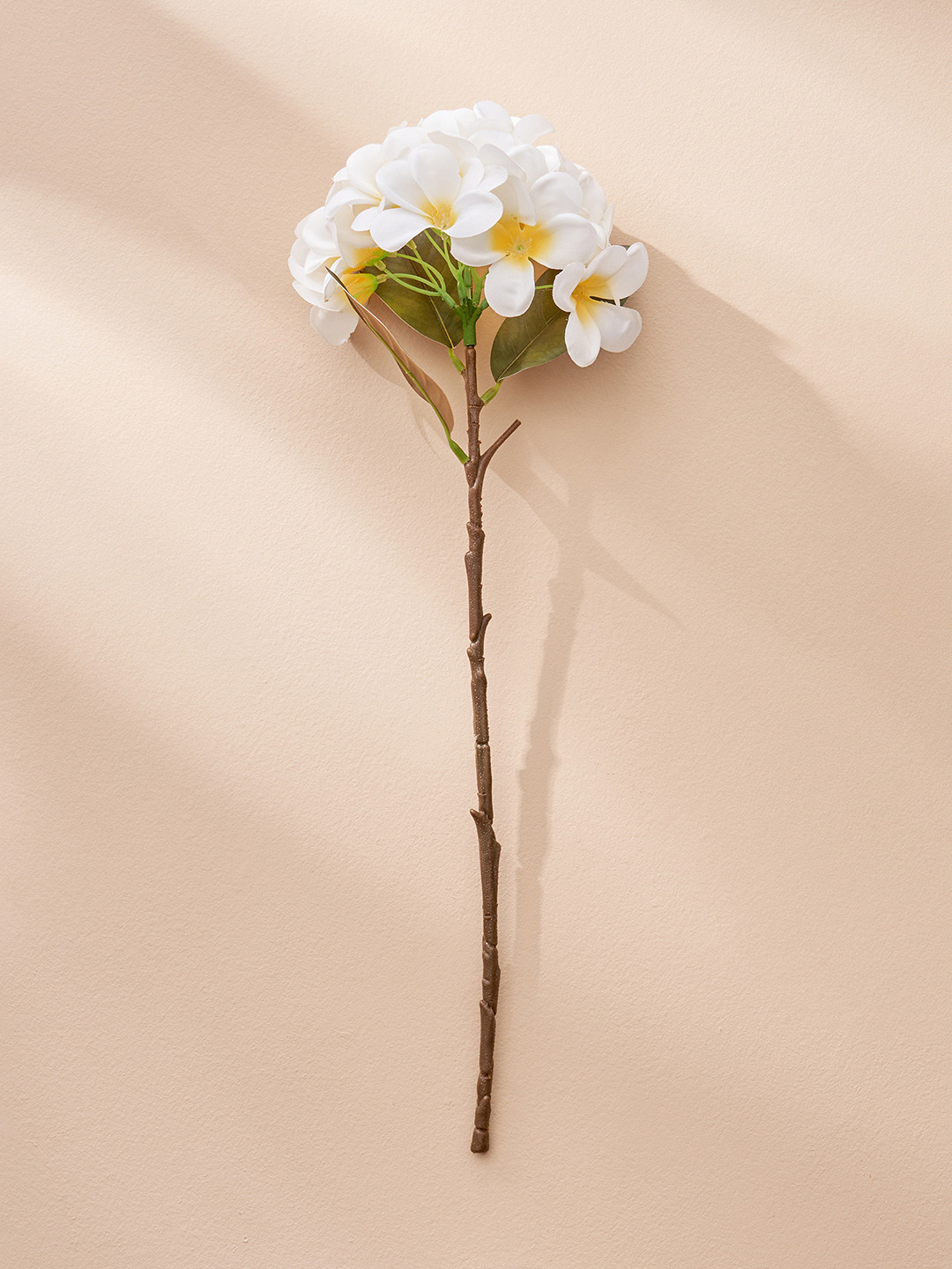 Home Centre White Frangipani Botanical Artificial Plant