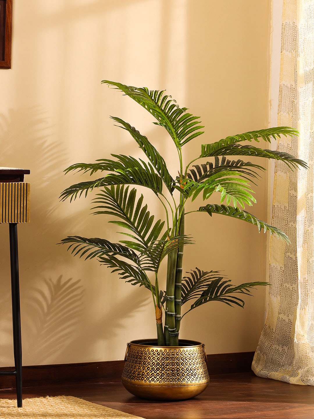 Elemntl Green Areca Palm Plant with Black Pot