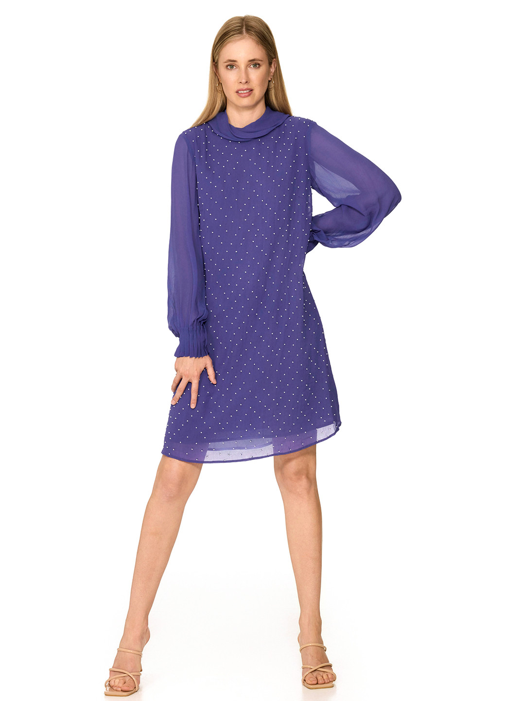 The Sancy Women Embellished Beads A-Line Dress