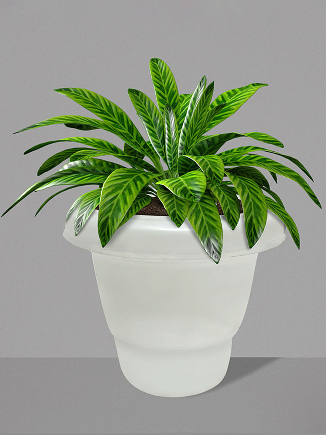 Urban Choice White Set of 6 Plastic Flower Pots