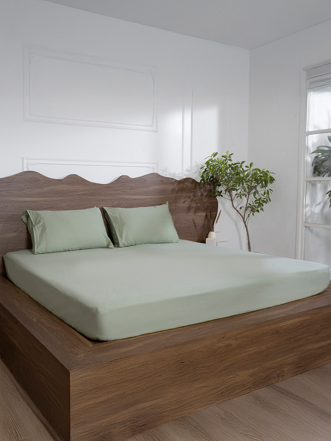 BELIHODE Fitted_Sbs_Kidze Green Cotton 500 TC Fitted King Superfine Bedsheet with 2 Pillow Covers-72 x 72 inches
