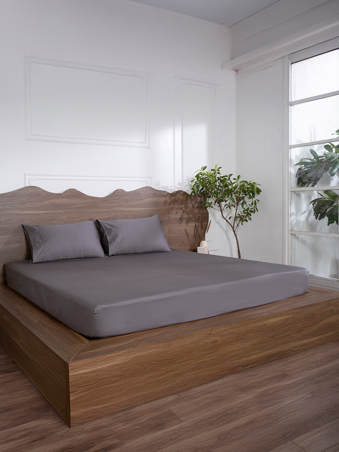 BELIHODE Luxury Grey Pure Cotton 500 TC Fitted King Superfine Bedsheet with 2 Pillow Covers-72 x 72 inches