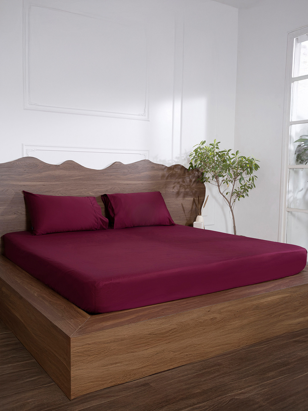 BELIHODE Red Cotton 500 TC Fitted King Superfine Bedsheet with 2 Pillow Covers-72 x 72 inches