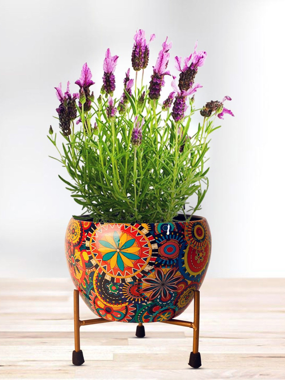 Nymph Reva Home Black & Red Printed Planter With Holder