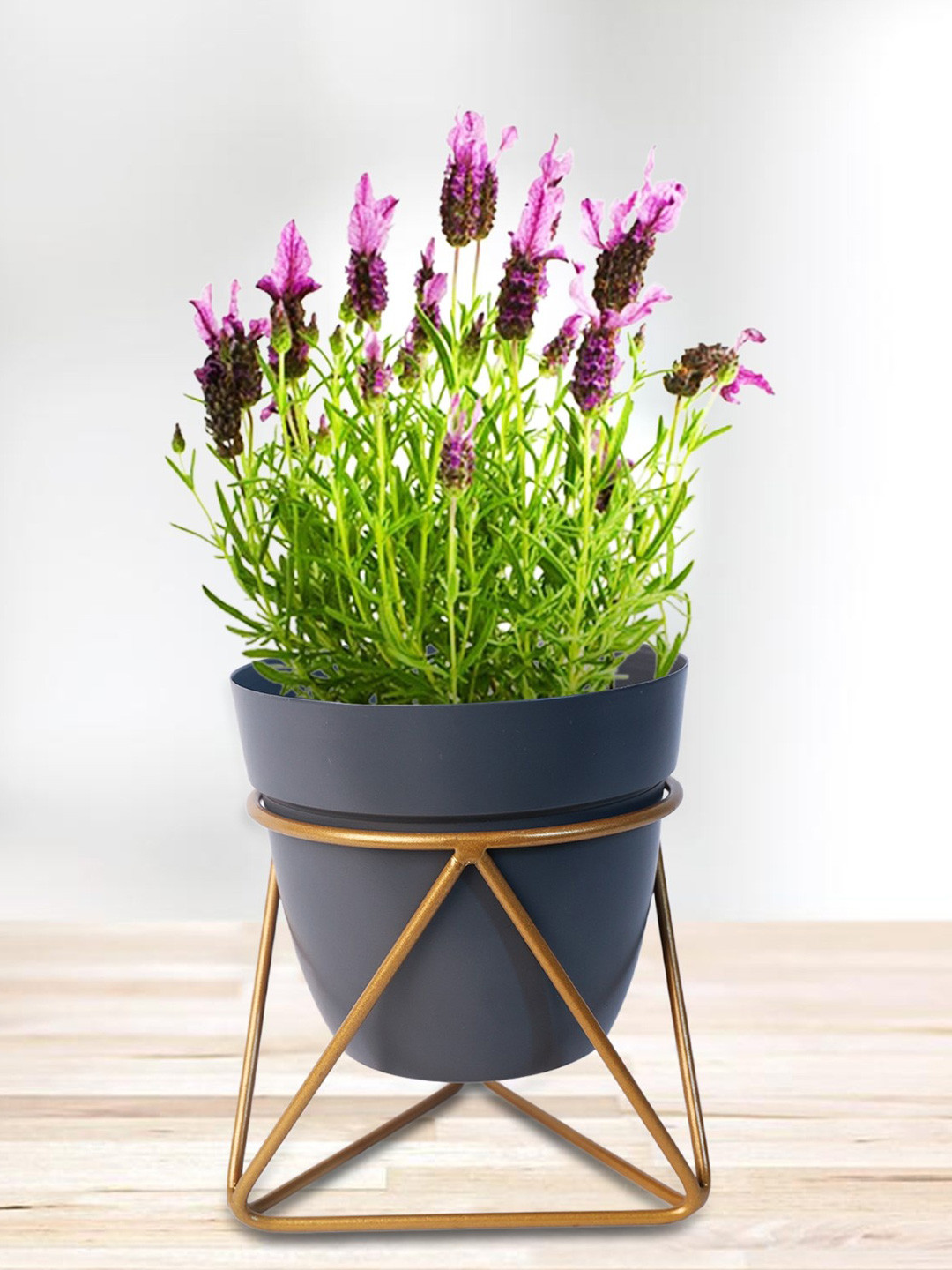 Nymph Reva Home Blue & Gold Toned Planter With Stand