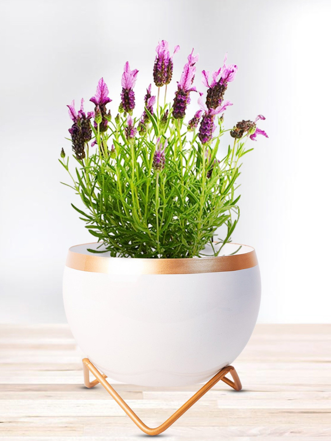 Nymph White & Yellow Planter With Holder