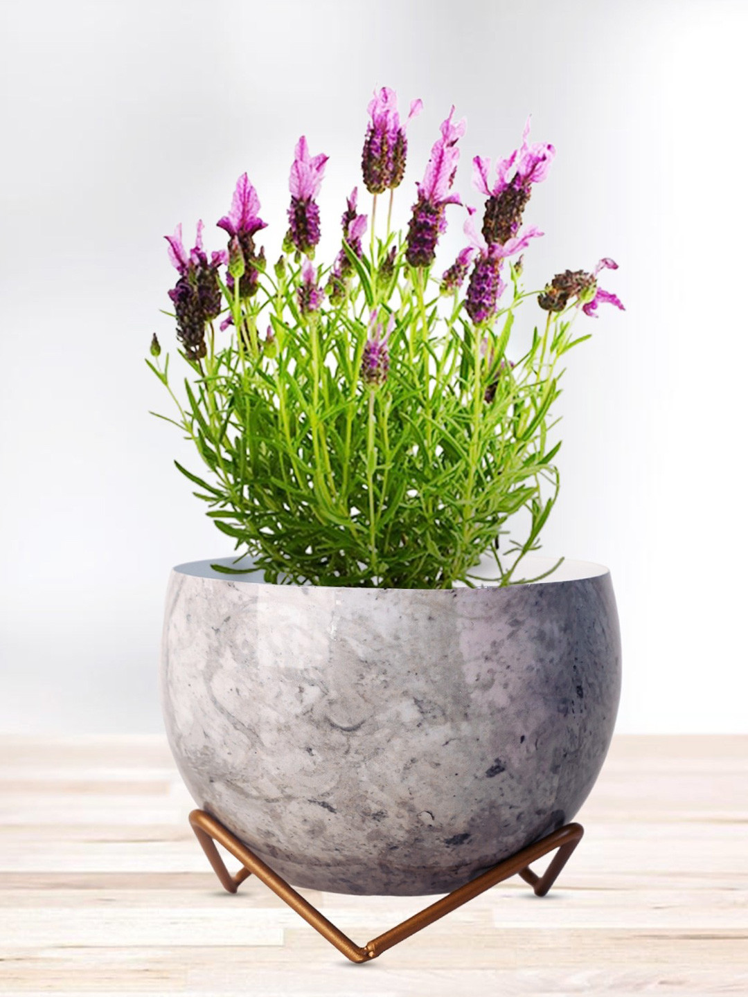 Nymph White & Grey 2 Pieces Printed Planters With Stands