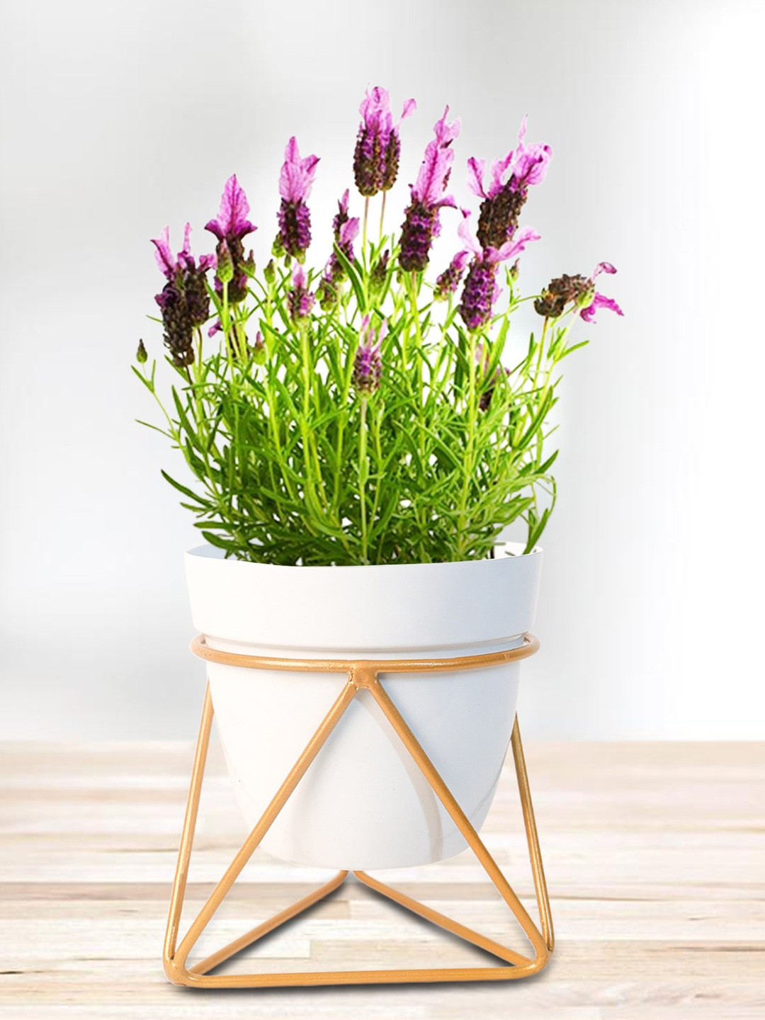 Nymph White Planters Pot With Stand