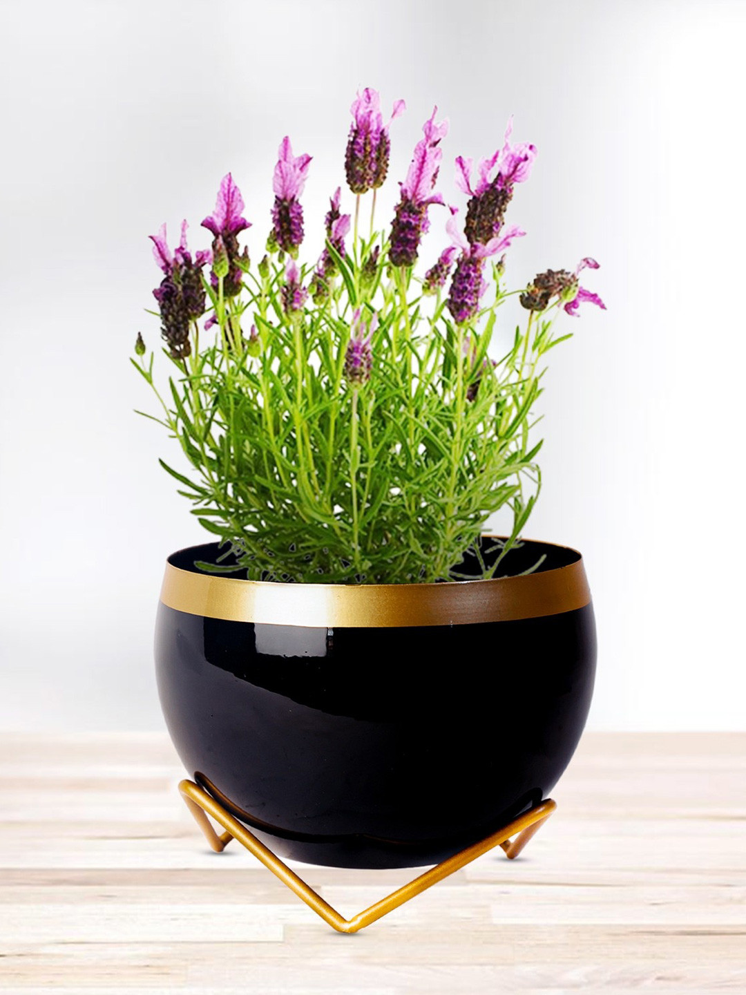 Nymph Reva Black & Gold-Toned Flower Planter With Stand