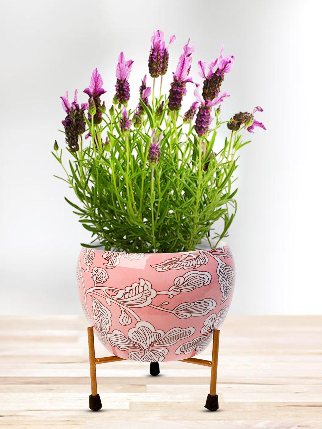Nymph Reva Home Pink & White 2 Pieces Printed Planters With Stands