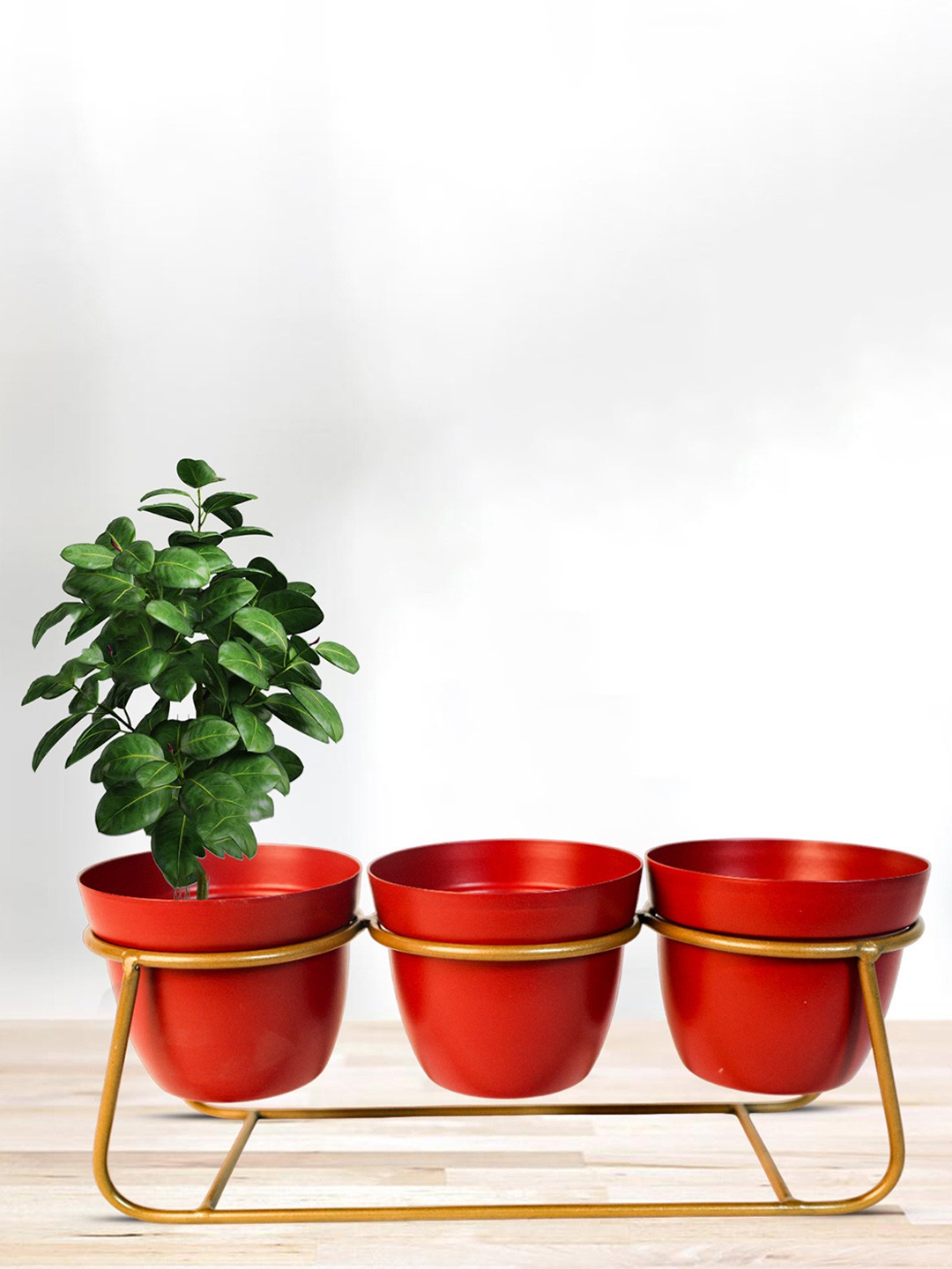 Nymph Red & Gold Toned Steel Flower Planters & Stand