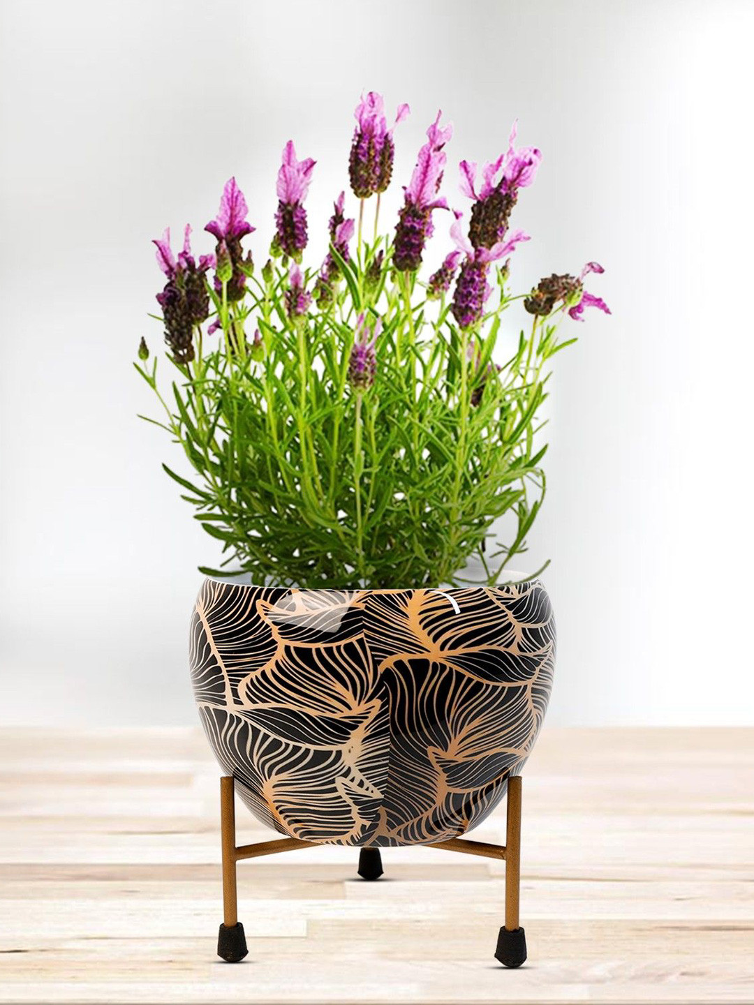 Nymph Reva Black & Gold-Toned 2 Pieces Printed Flower Planters With Stand