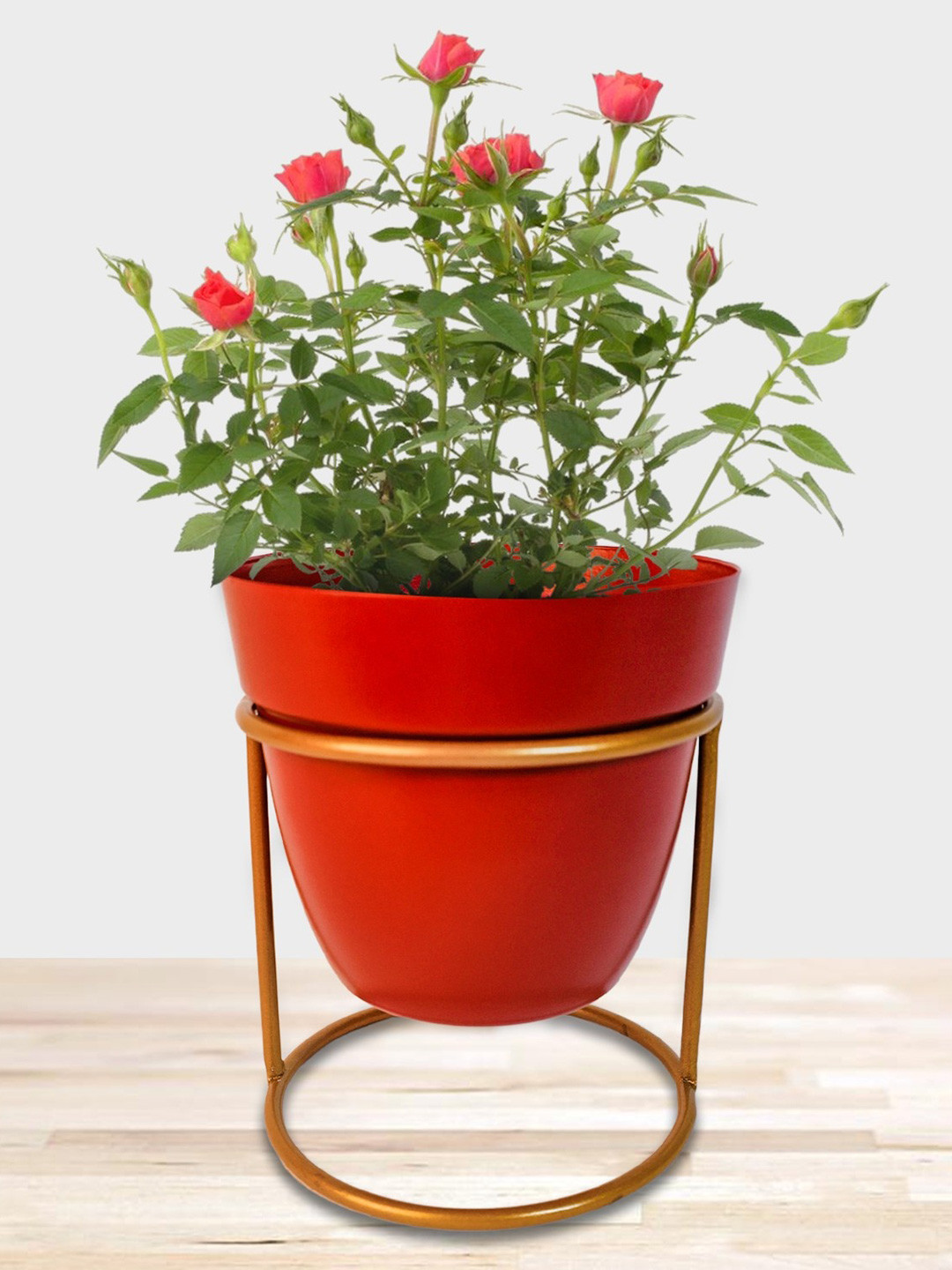 Nymph Red & Yellow Planter With Holder