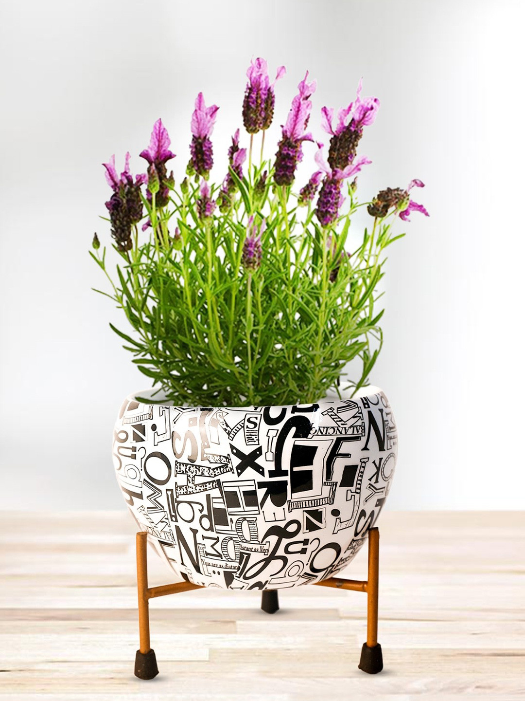Nymph Reva White & Black 2 Pieces Printed Flower Planters With Stand