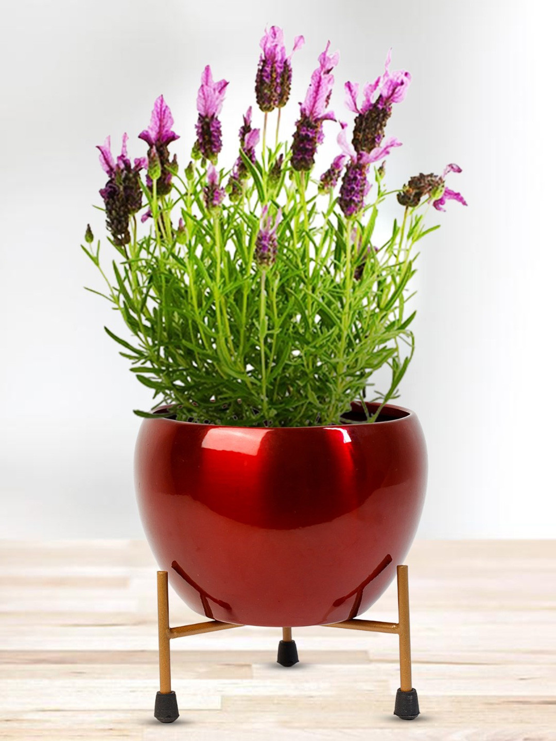 Nymph Reva Red & Gold-Toned Flower Planter With Stand