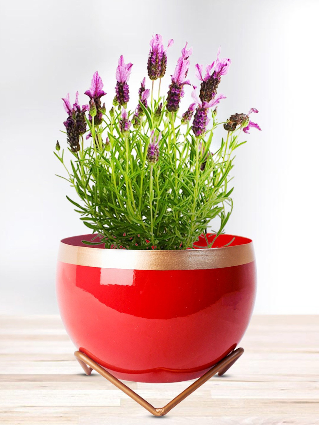 Nymph Red & Yellow Planter With Holder