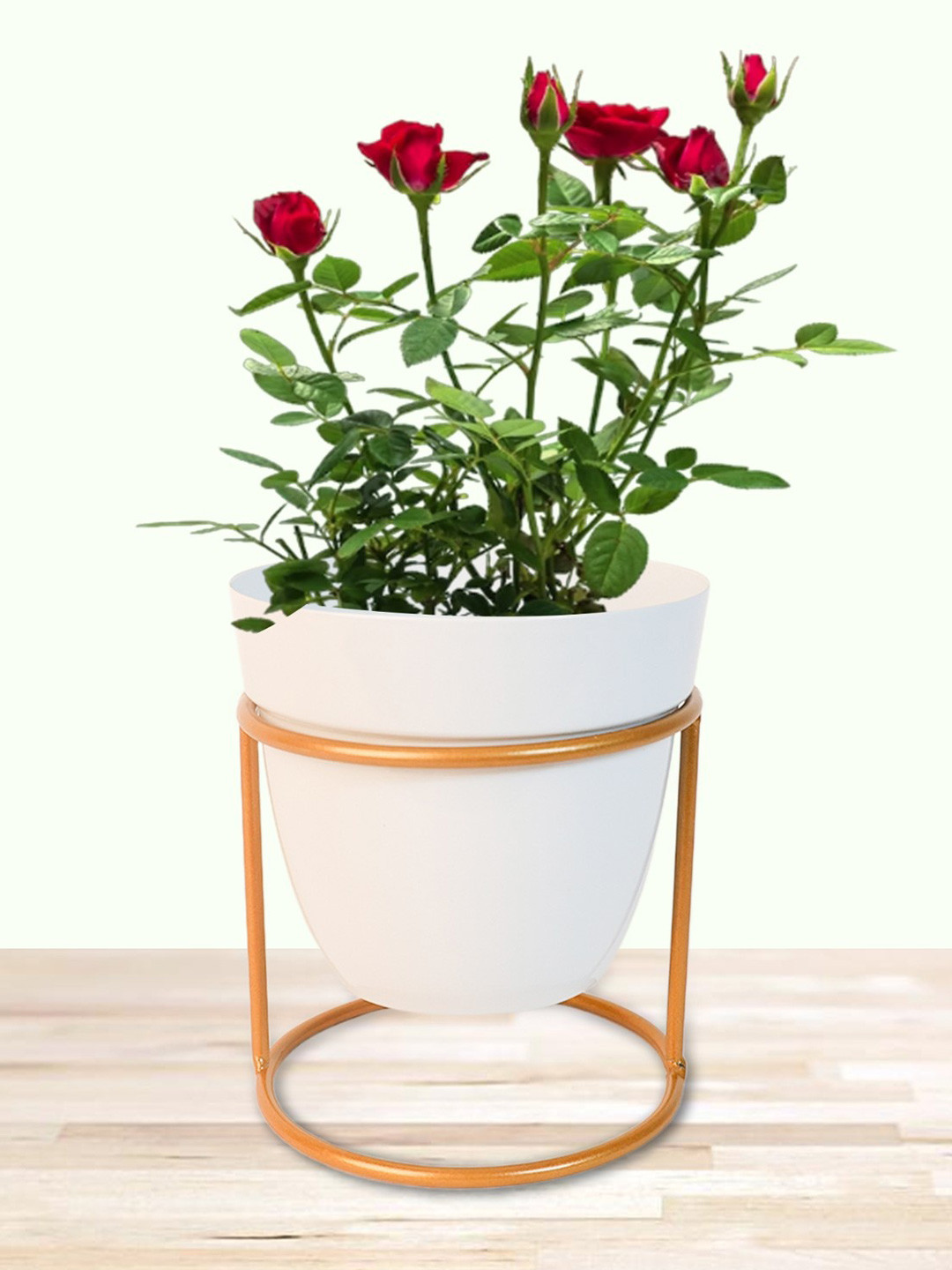 Nymph White Flower Planters With Stand