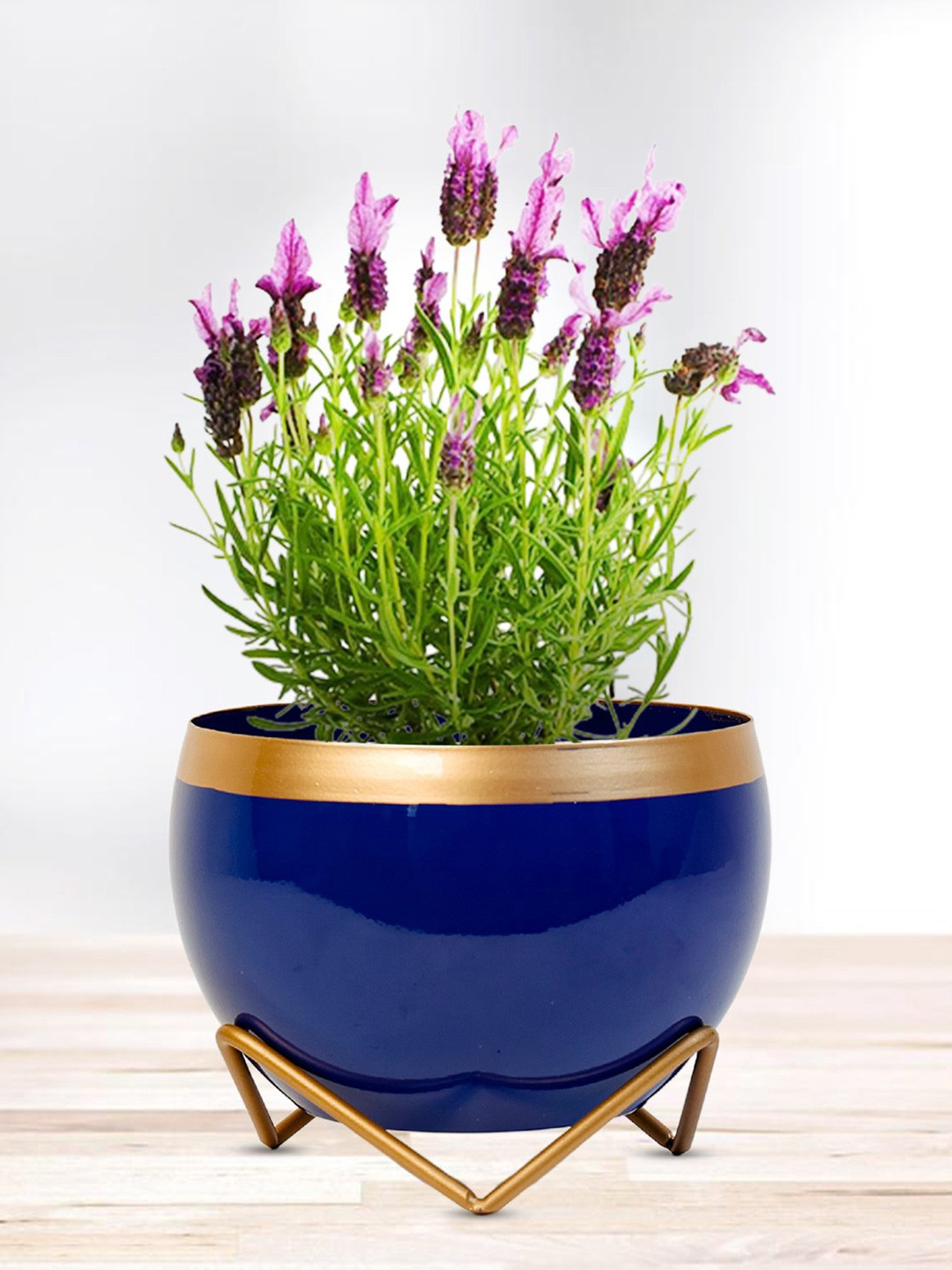 Nymph Blue Flower Planters With Stand