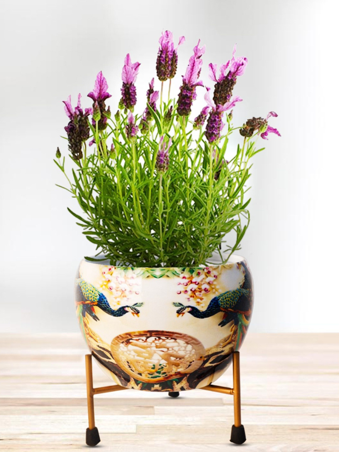 Nymph Reva Home Green & Brown 2 Pieces Planter With Stand