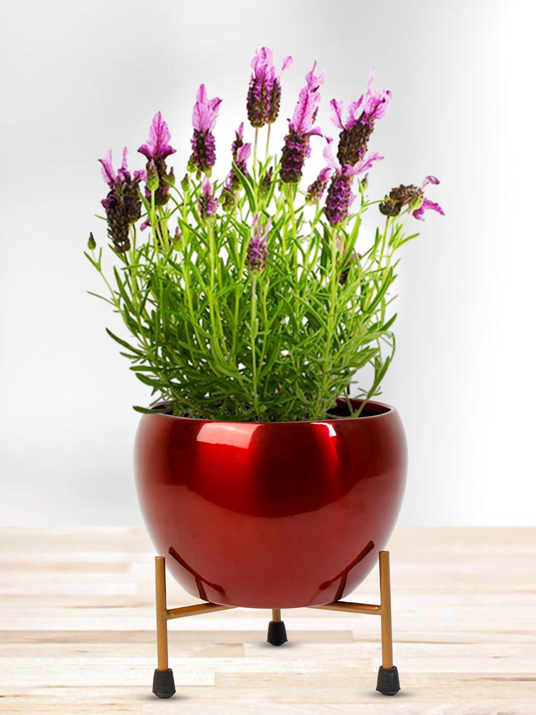 Nymph Reva Red & Gold-Toned 2 Pieces Flower Planters With Stand