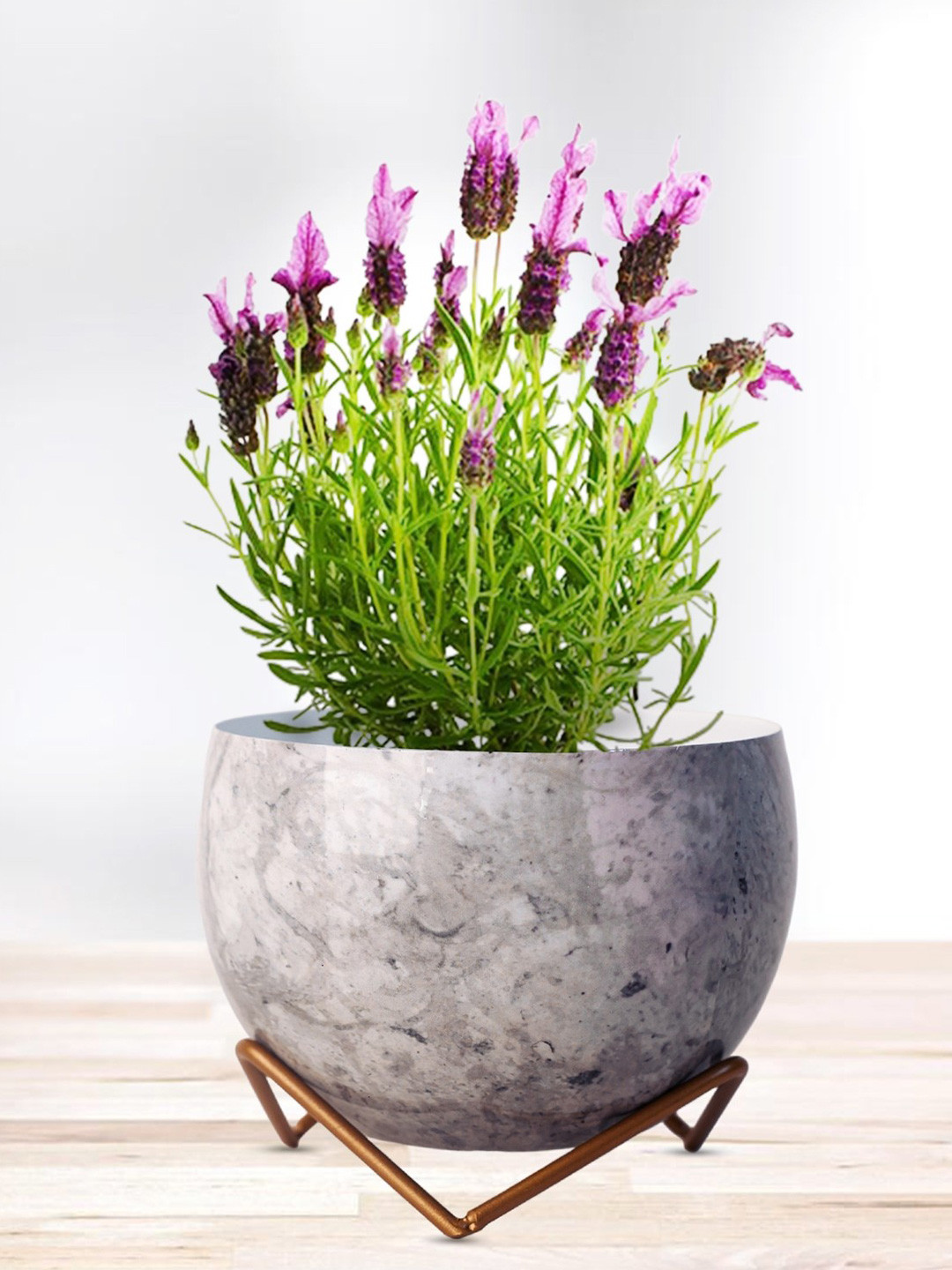 Nymph Grey & Gold Toned Printed Steel Flower Planters With Stand