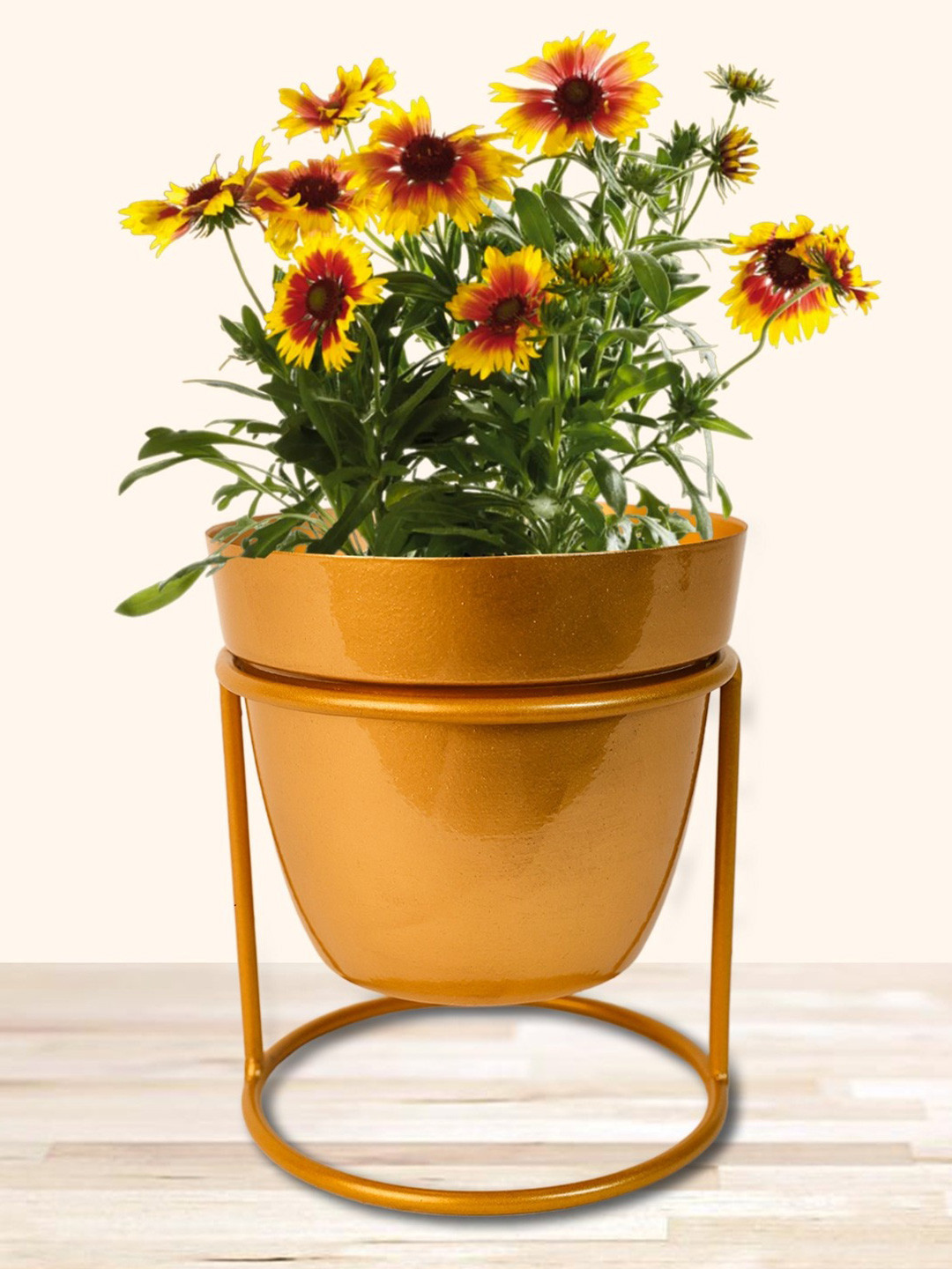 Nymph Gold Toned Steel Flower Planters With Stand