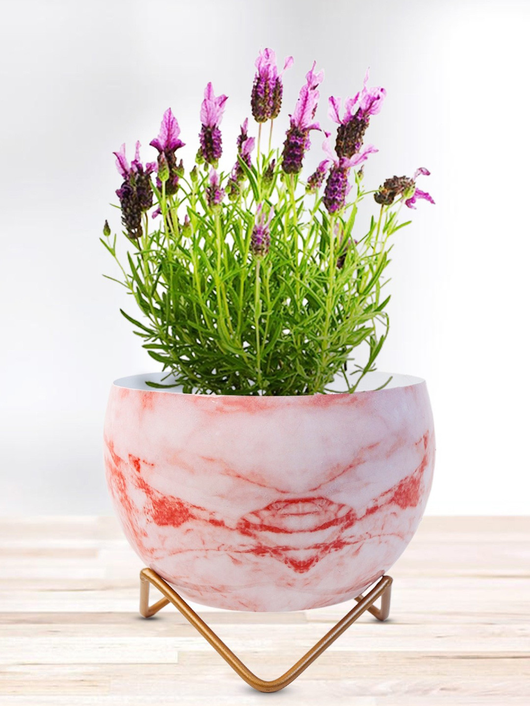 Nymph Red & White Printed Flower Planter With Stand