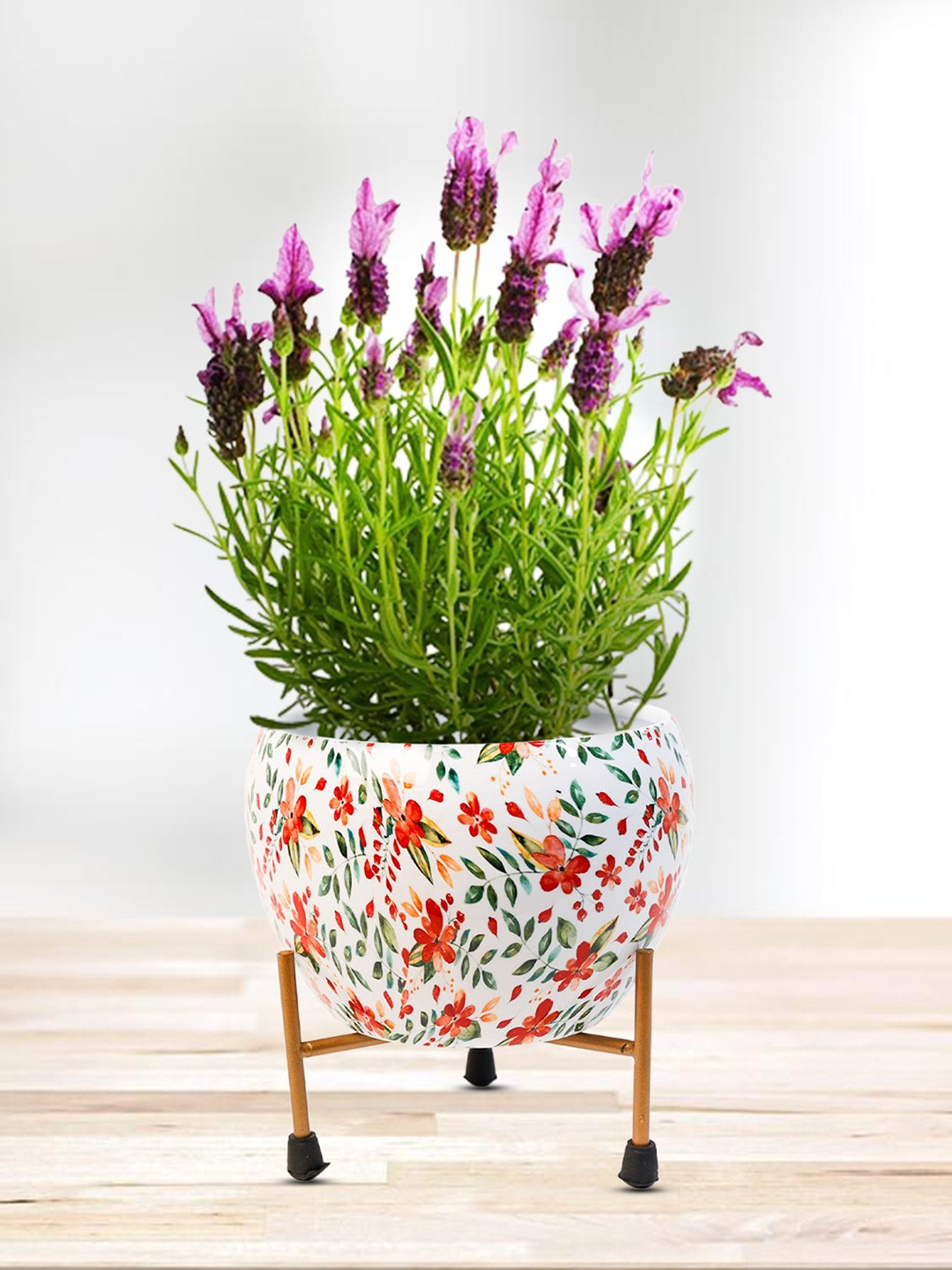 Nymph Reva Home White & Orange Printed Planters With Stand