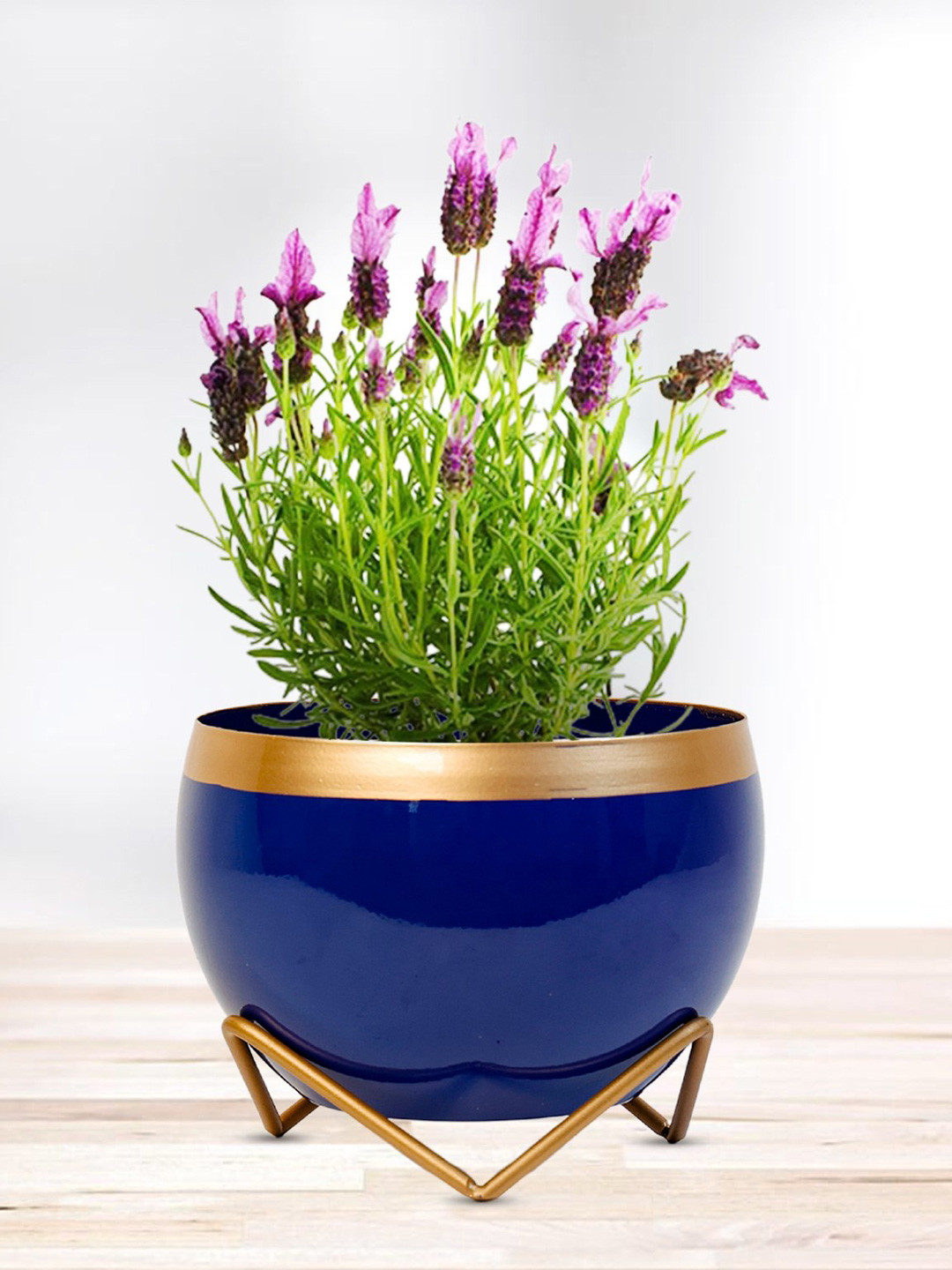 Nymph Blue & Gold Toned Flower Planter With Stand