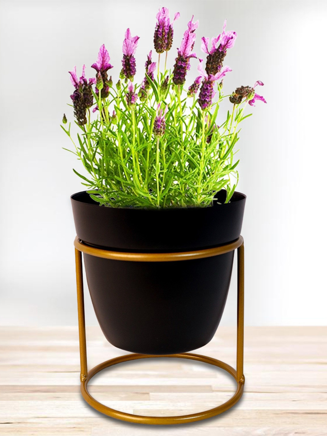 Nymph Black 2 Pieces Planters With Stand