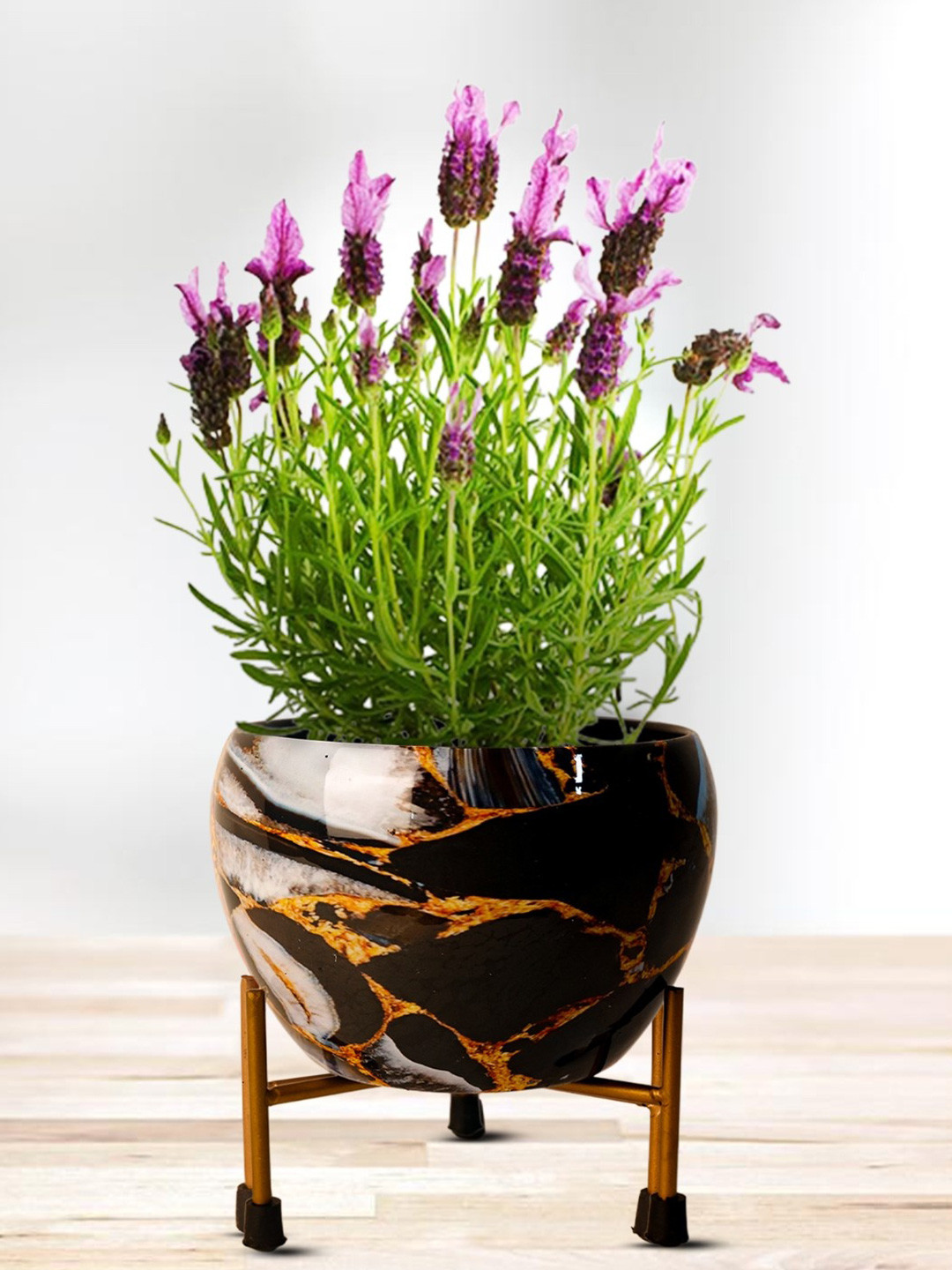 Nymph Reva Home Black & Gold-Toned 2 Pieces Printed Indoor Flower Pot With Stand
