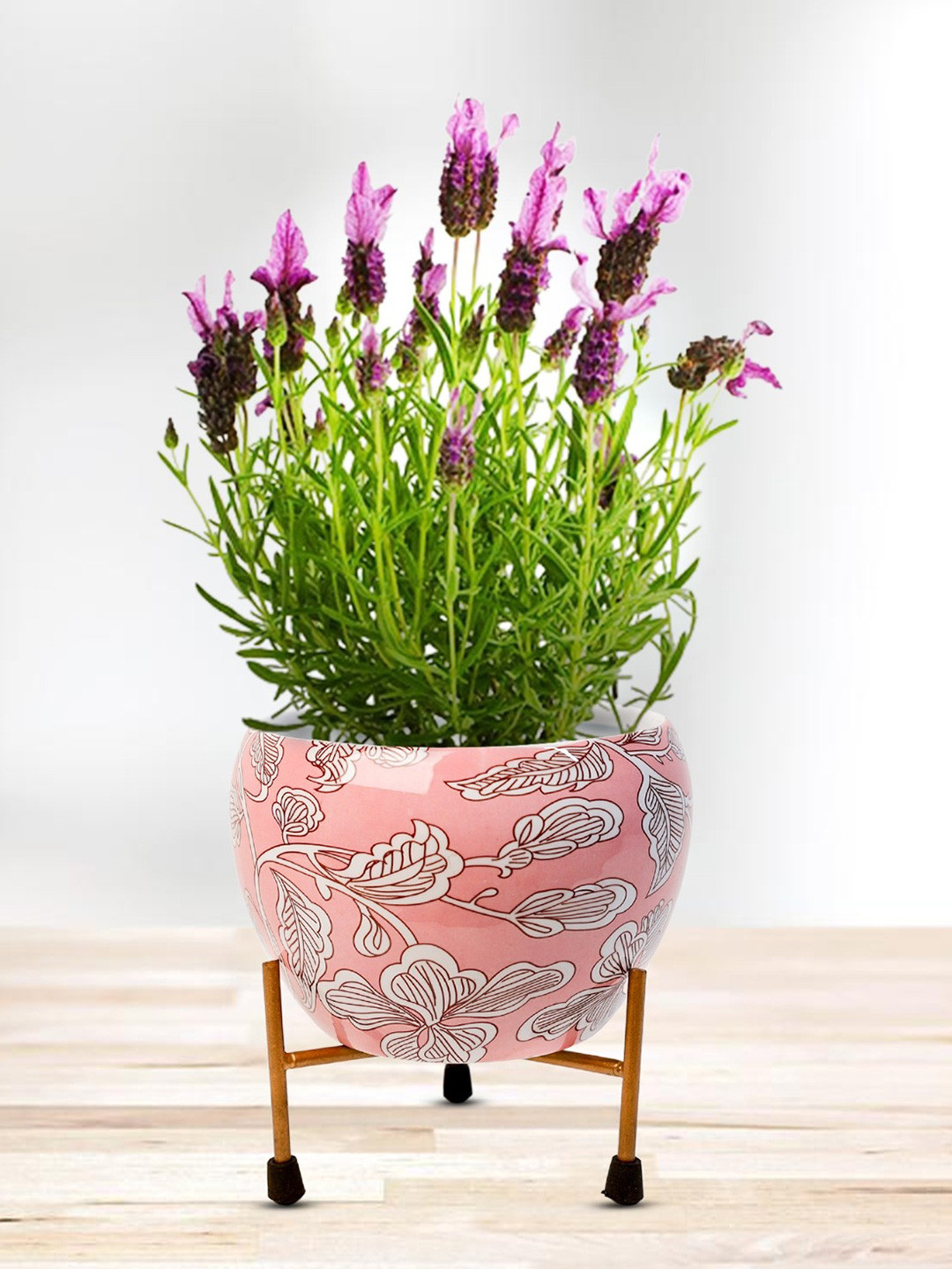 Nymph Pink & White Printed Planters With Stand
