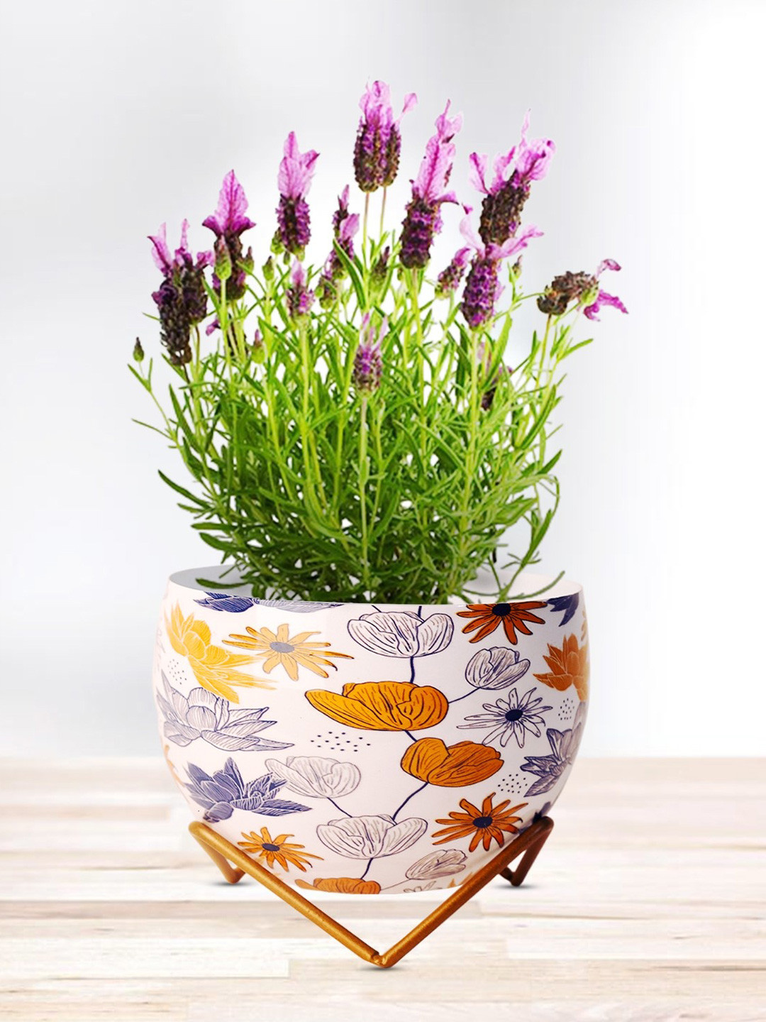 Nymph Reva Home White & Green Printed Indoor Planters