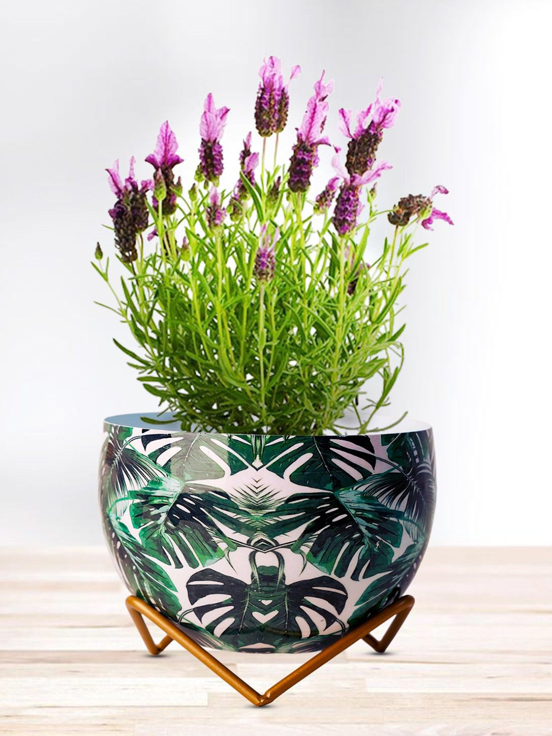 Nymph White & Green 2 Pieces Printed Planters With Stand