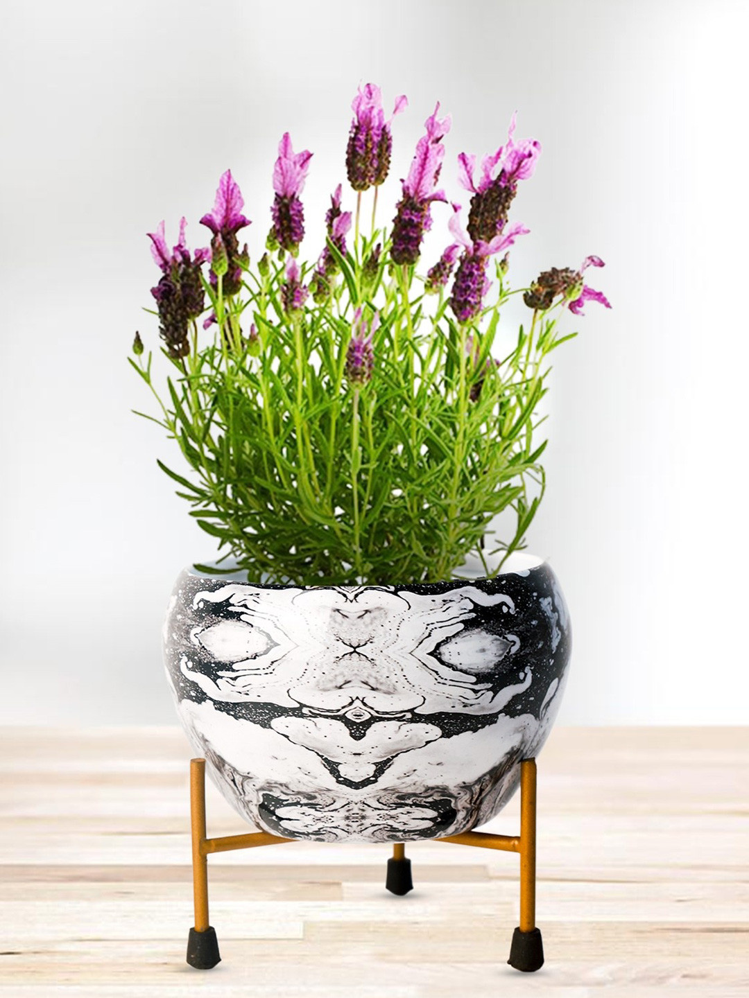 Nymph Reva Home White & Black Printed Planters With Stand