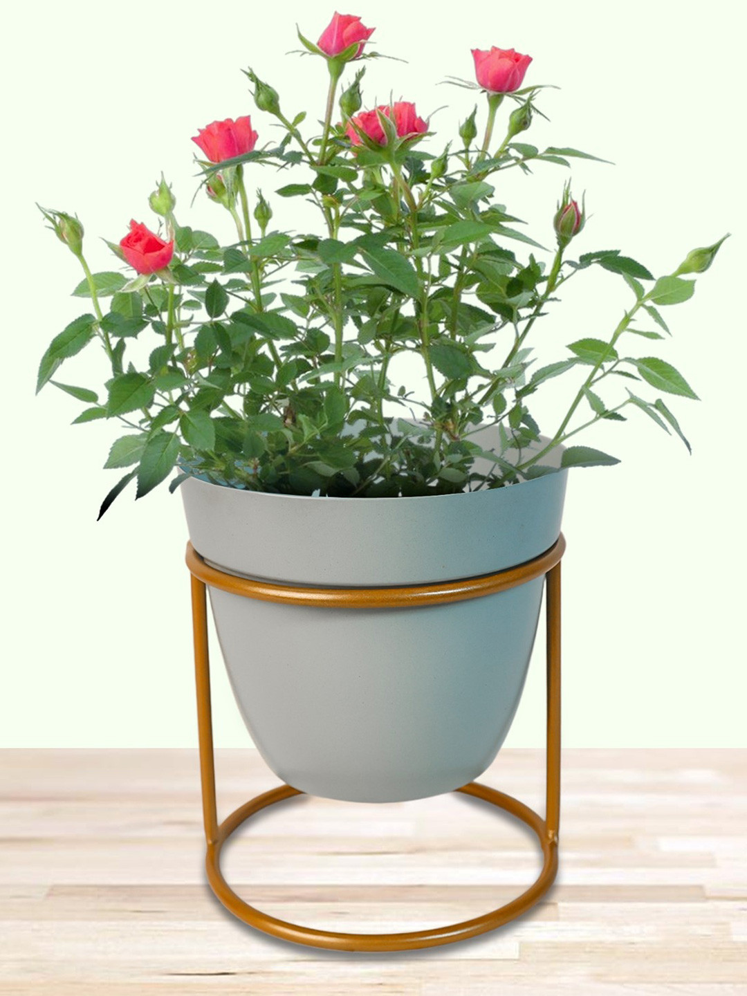 Nymph Reva Home Blue & Gold Toned 2 Pieces Steel Planter With Stand