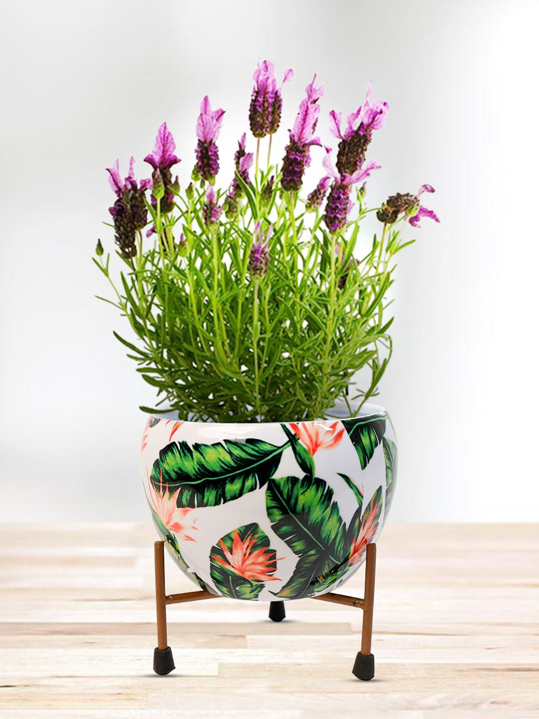 Nymph Reva Home White & Green Printed Indoor Planter