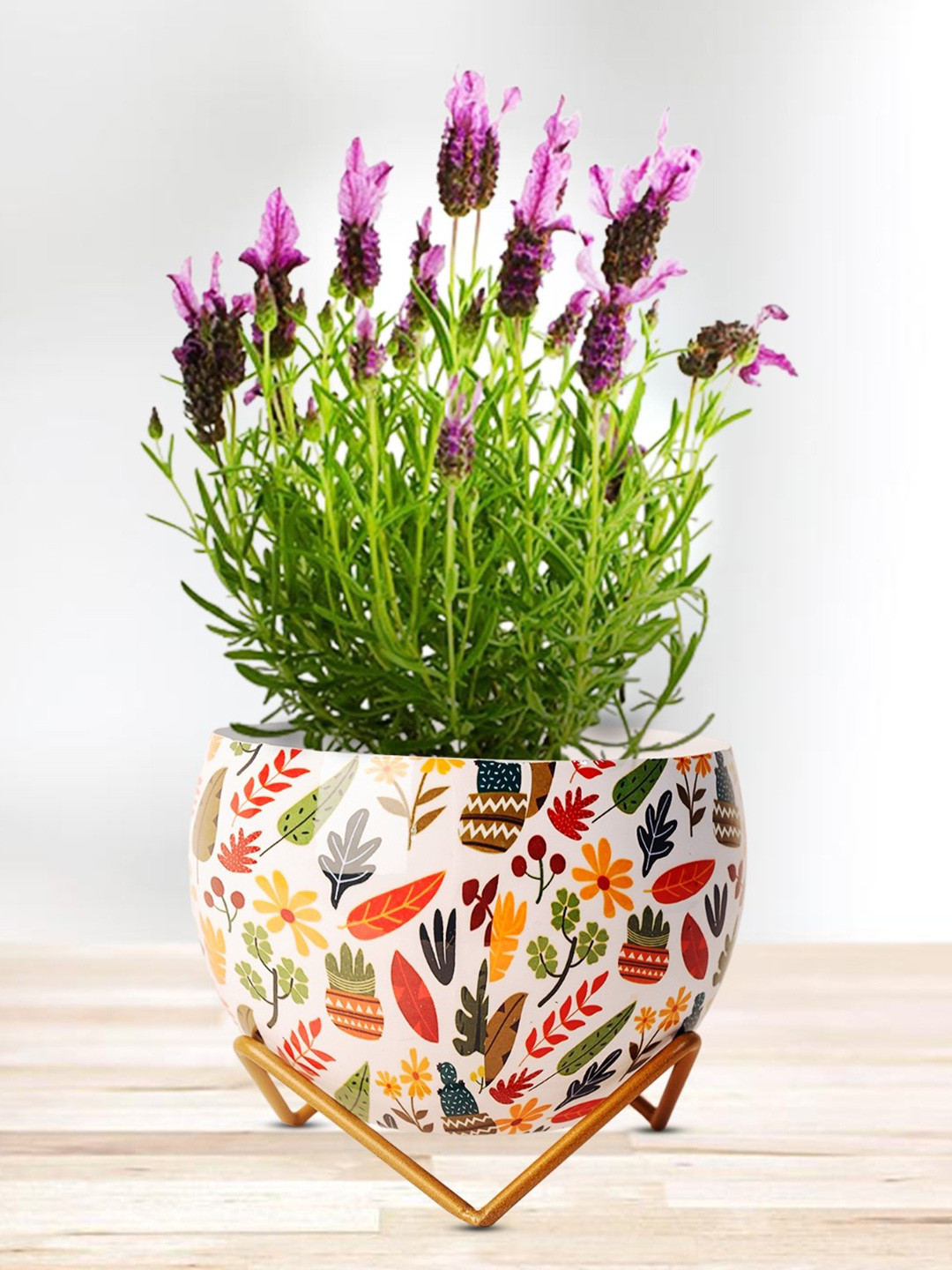 Nymph Reva Home White & Green Printed Indoor Flower Pot